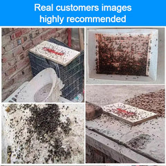 🦟Especialmente diseñado para matar mosquitos y moscas en granjas, ¡un paquete mata pulgas/langostas/cucarachas/moscas/mosquitos!