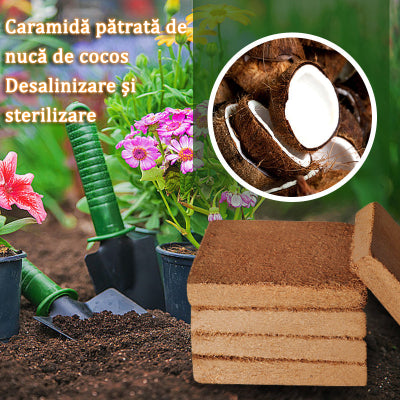 🔥🔥【3 piezas】Tierra nutritiva de ladrillos de coco - césped, jardín, jardinería